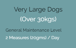 digest-dog03