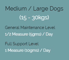 dogs02