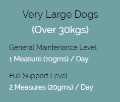 dogs03