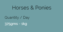 horse01
