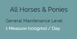horses06