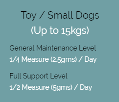 dogs01